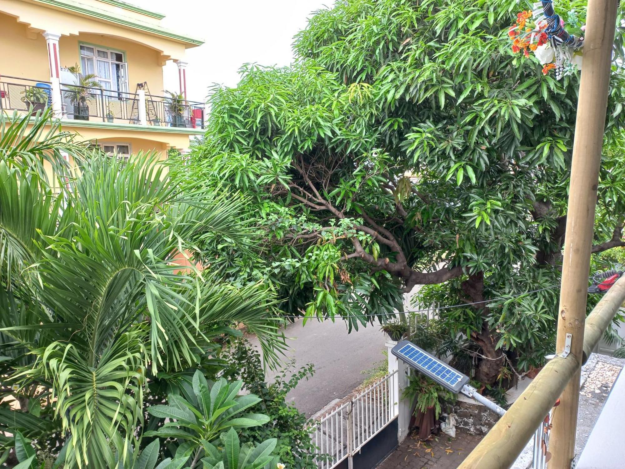 Open Air Cafe & Apartments Port Louis Phòng bức ảnh